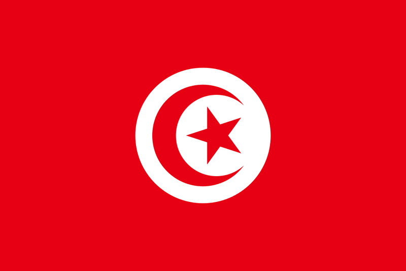 Файл:Flag of Tunisia.png