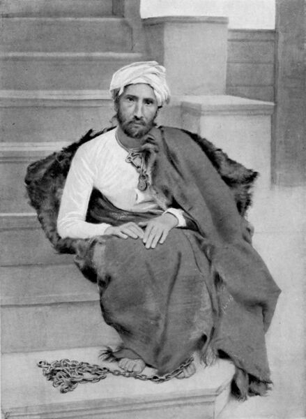 Файл:Mirzareza kermani.jpg